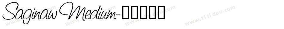 Saginaw Medium字体转换